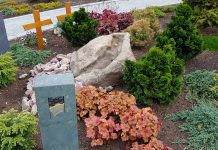 Info-Veranstaltung zum Thema „Alternative Bestattungsformen: Ruhewald und Memoriam-Garten“ am 1. Juli